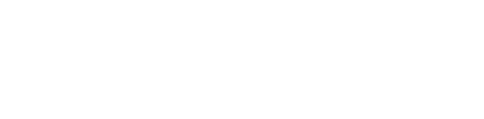 Phonix